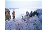 春節(jié)旅游：張家界、袁家界、天子山、寶峰湖/黃龍洞度假二晚三日游